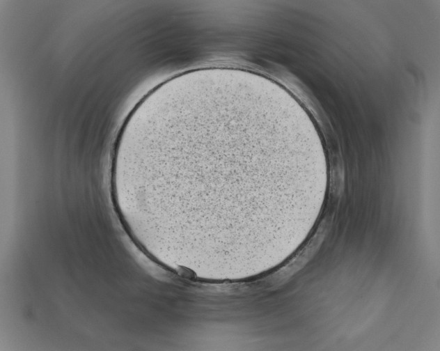 X0000112401438200909251426