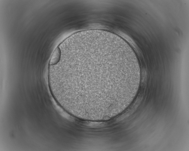 X0000112401439200909251426