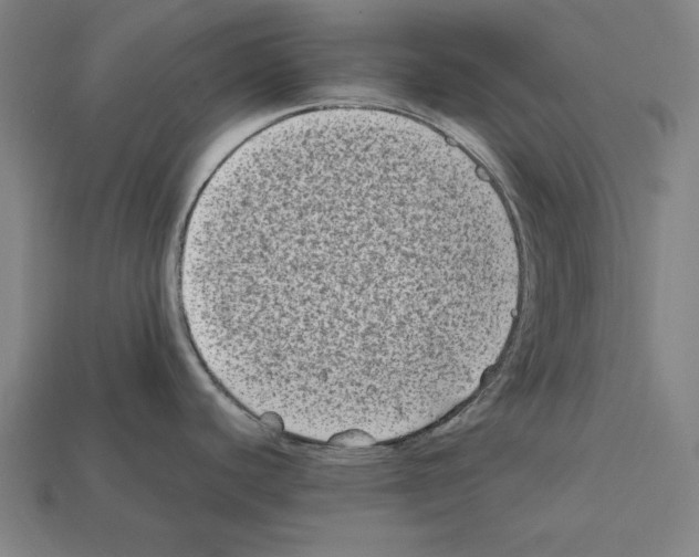 X0000112401440200909251426