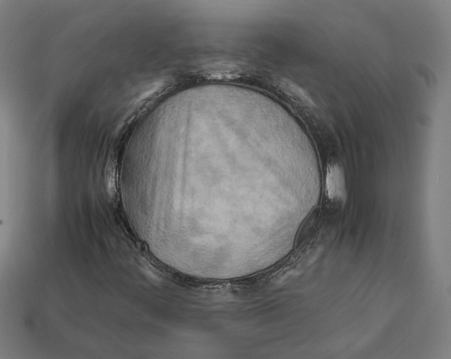X0000112401444200909251426