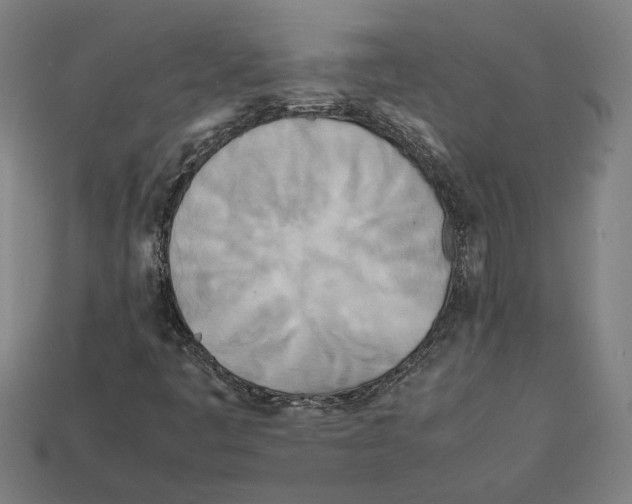 X0000112401445200909251426