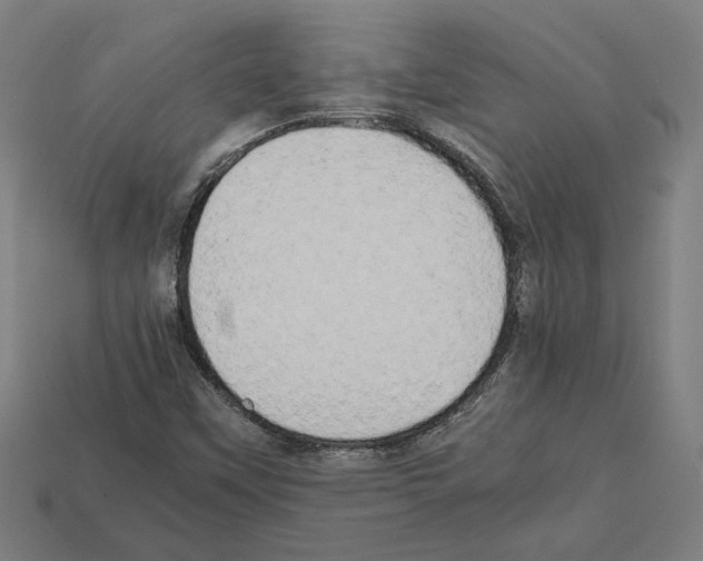 X0000112401451200909251425