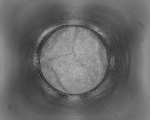 X0000112401454200909251425