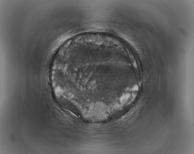 X0000112401455200909251425