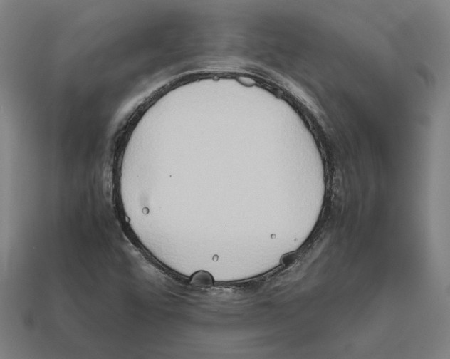 X0000112401456200909251425
