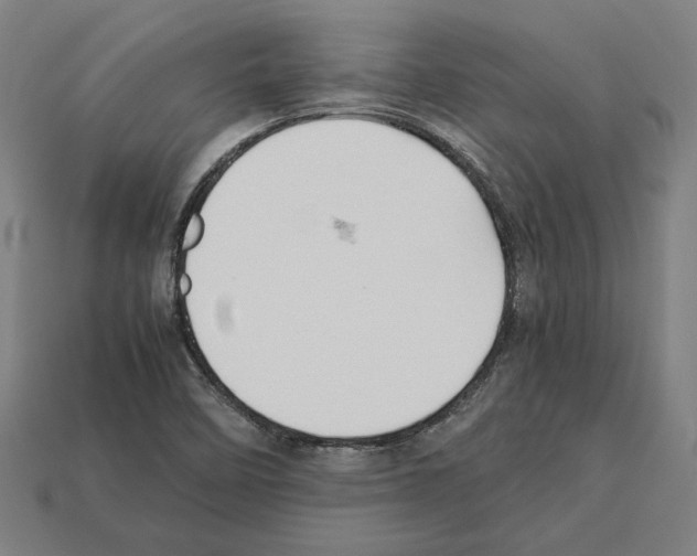 X0000112401458200909251425