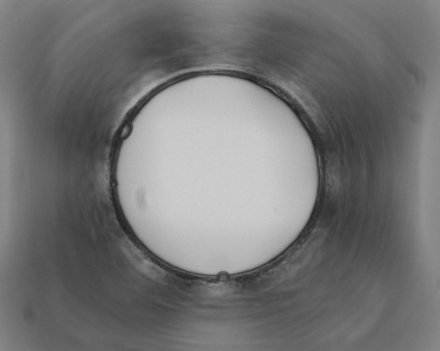 X0000112401460200909251425