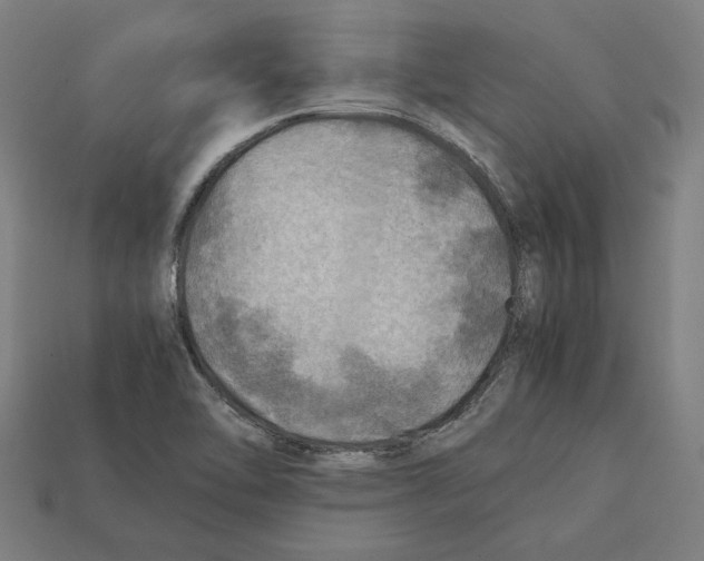 X0000112401462200909251425