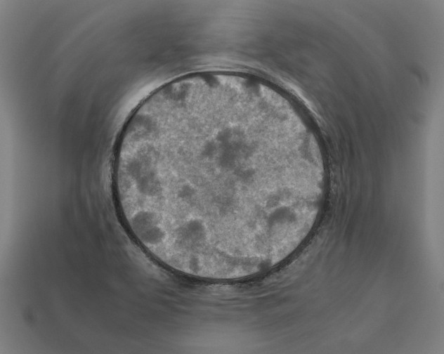 X0000112401463200909251425