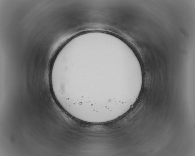 X0000112401464200909251425