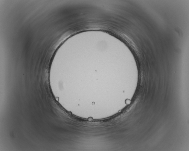 X0000112401465200909251425