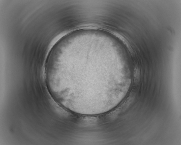 X0000112401466200909251425