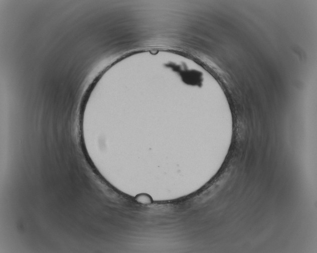 X0000112401469200909251425