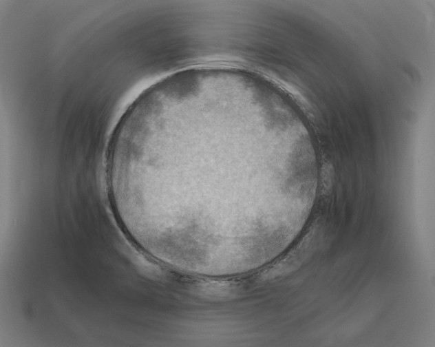 X0000112401470200909251425