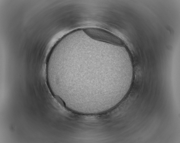 X0000112401472200909251425