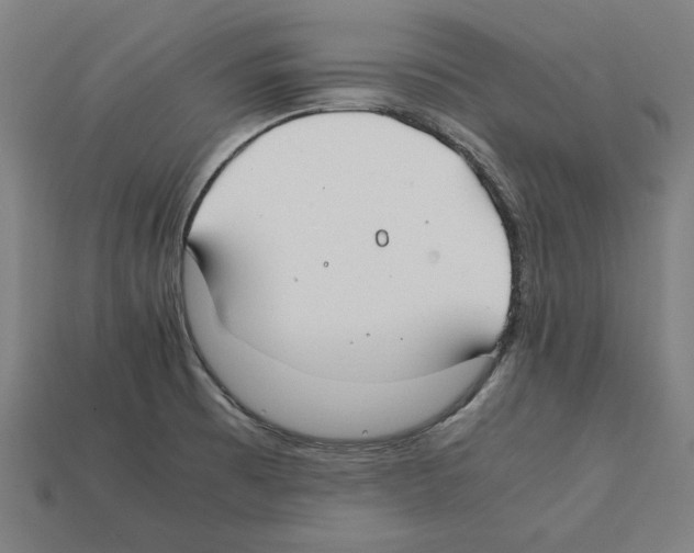 X0000112401473200909251425
