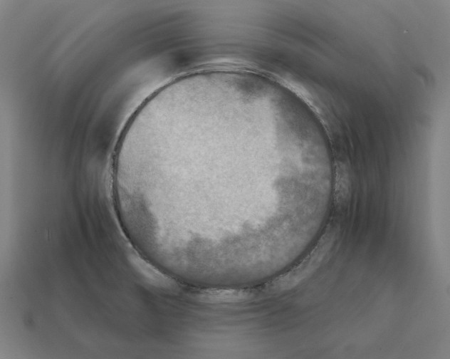 X0000112401474200909251425