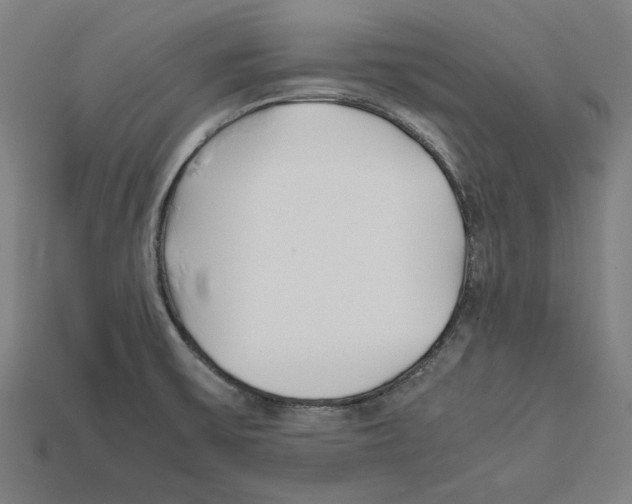 X0000112401475200909251425