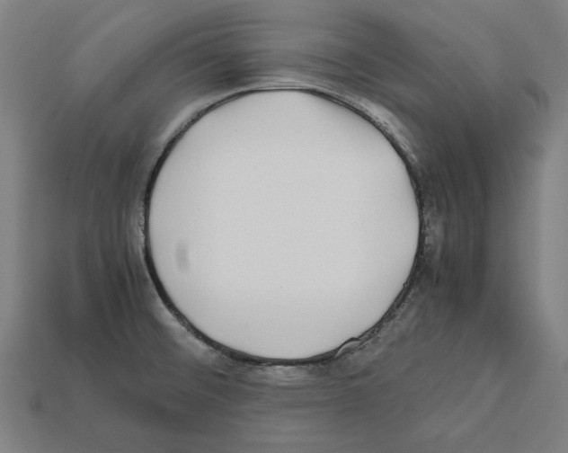 X0000112401476200909251425
