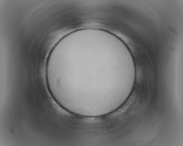 X0000112401478200909251425