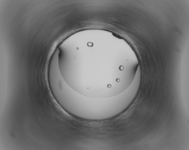 X0000112401480200909251425