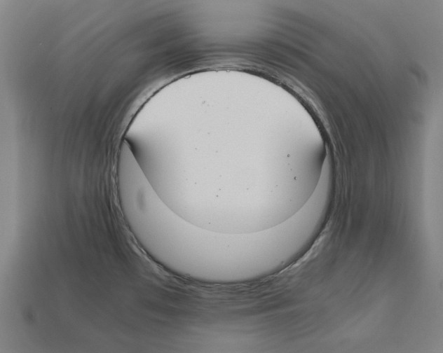 X0000112401481200909251425