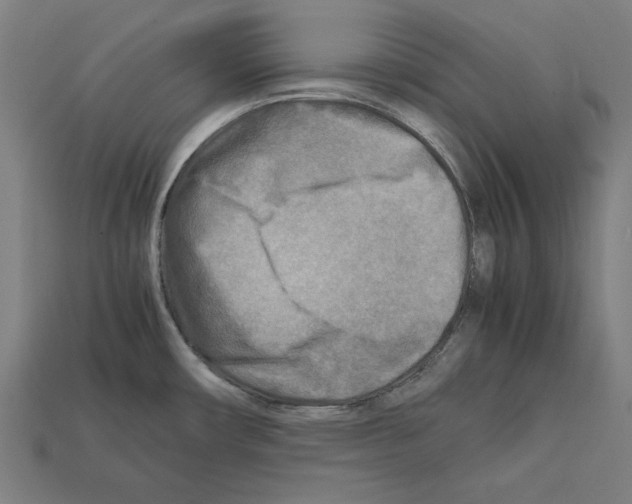 X0000112401482200909251425