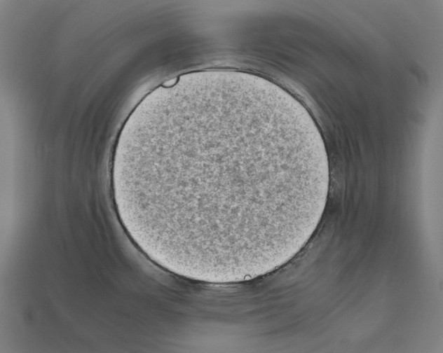 X0000112401483200909251425
