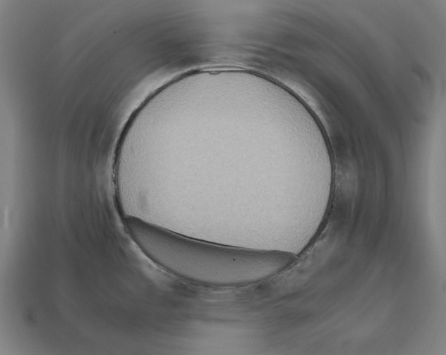 X0000112401485200909251425