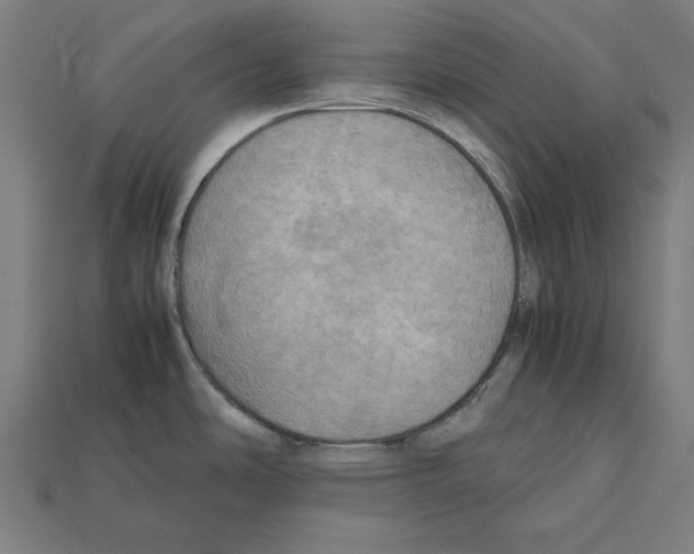 X0000112401486200909251425