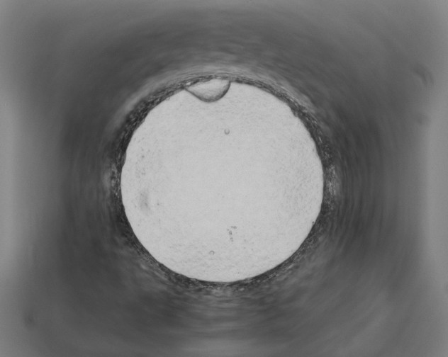 X0000112401495200909251424