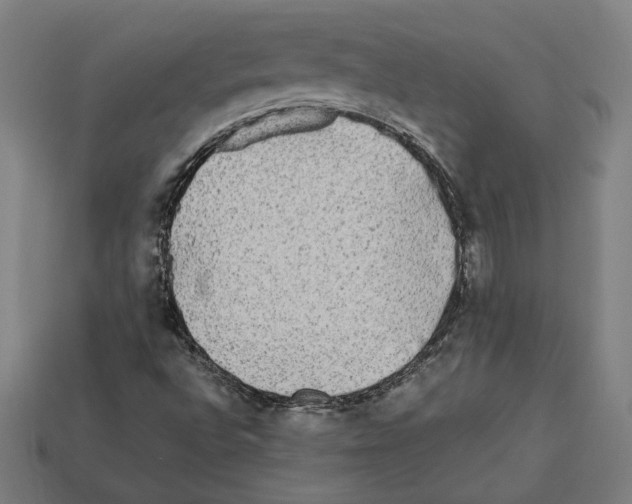 X0000112401496200909251424