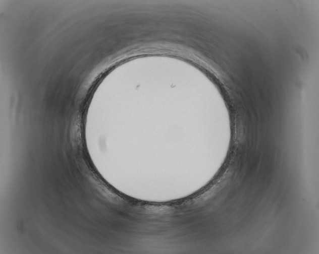 X0000112401498200909251424