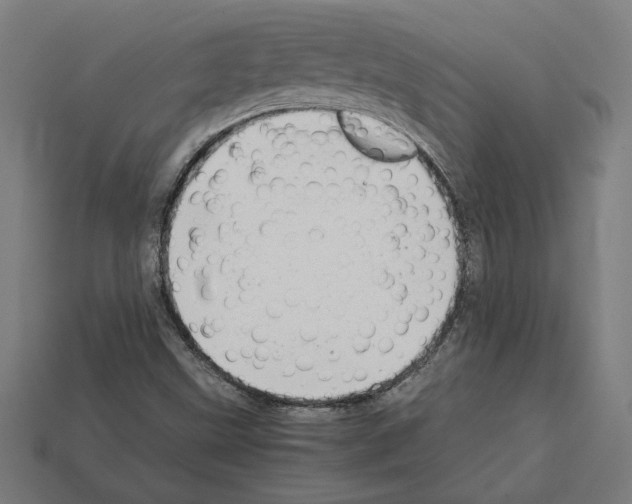 X0000112401499200909251424