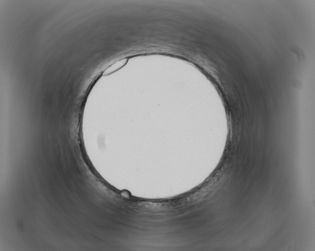 X0000112401500200909251424
