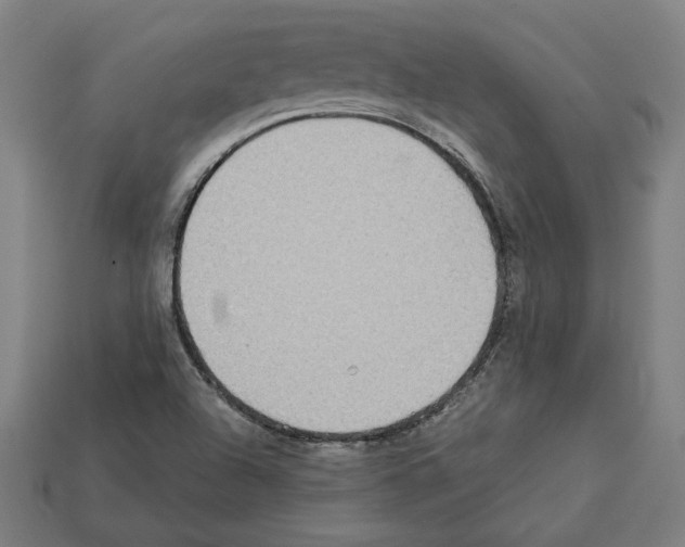 X0000112401504200909251424