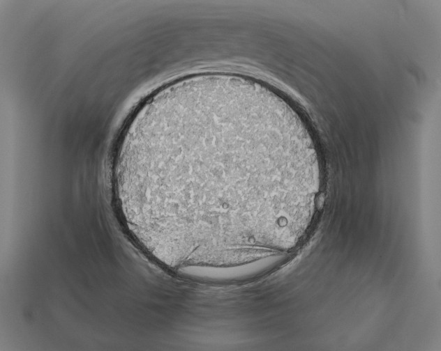 X0000112401506200909251424