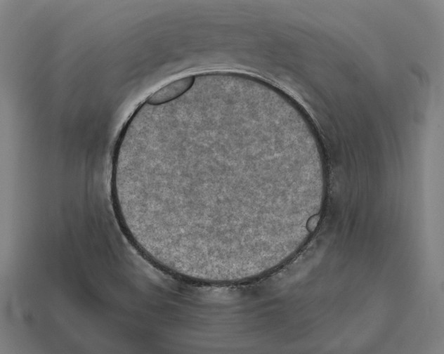 X0000112401508200909251424