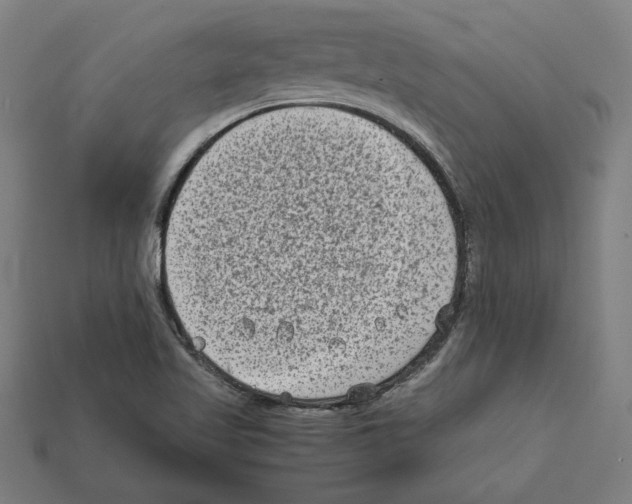 X0000112401509200909251424