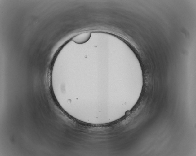 X0000112401510200909251424