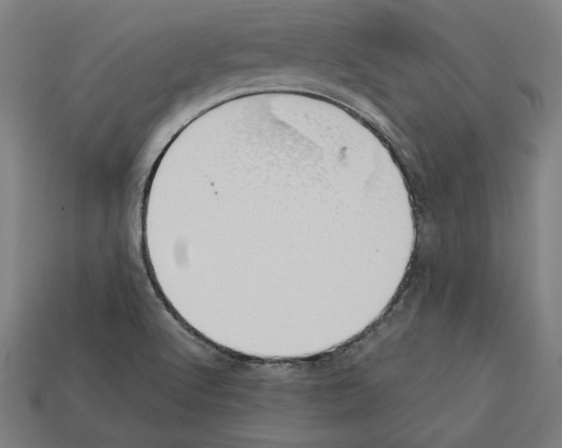 X0000112401512200909251424