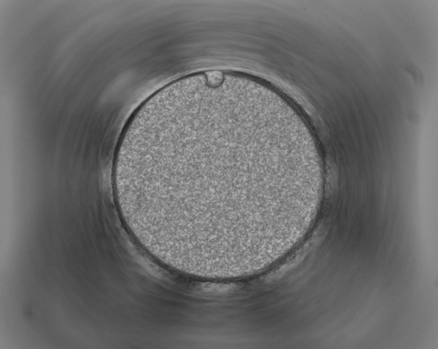 X0000112401513200909251425