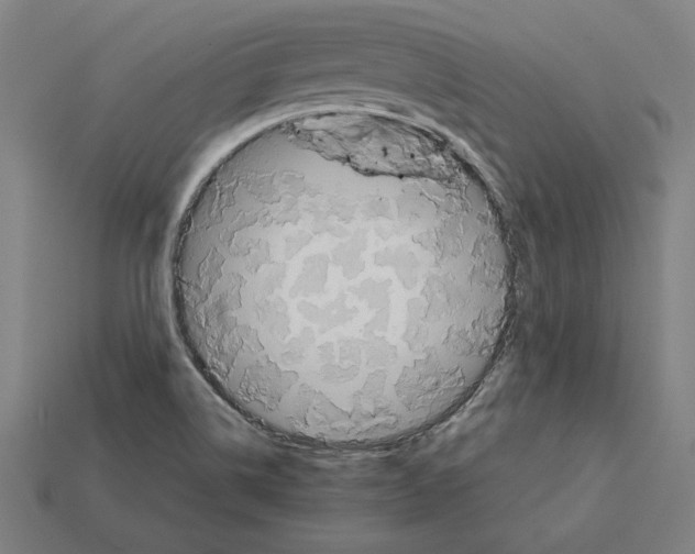 X0000112401514200909251425