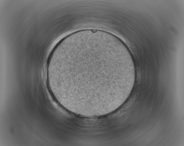 X0000112401515200909251425
