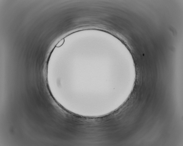 X0000112401516200909251425