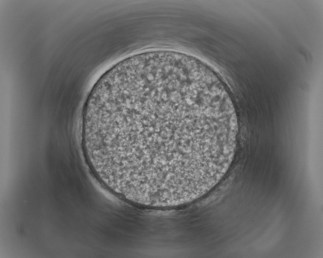 X0000112401519200909251425