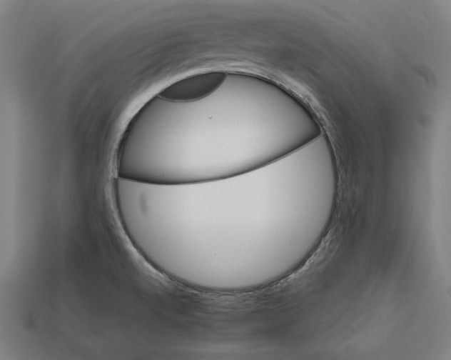 X0000112401520200909251425