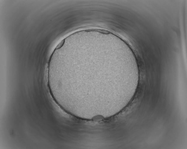 X0000112401524200909251425