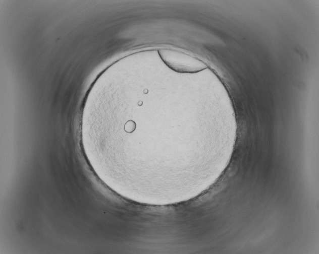 X0000112401526200909251425