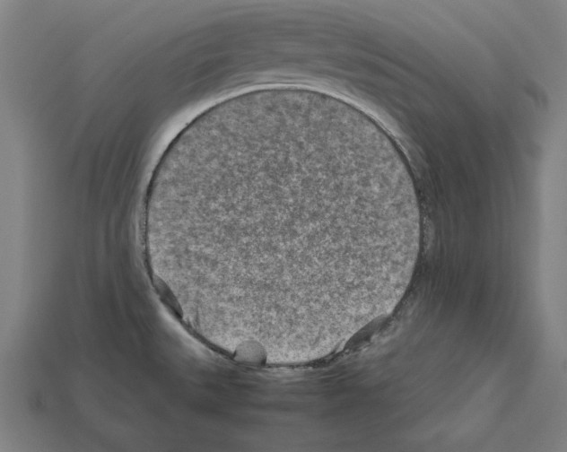 X0000112401527200909251425